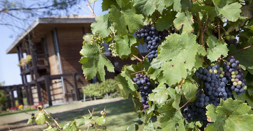 Residence Les Vignes Jonzac Buitenkant foto